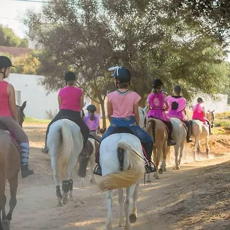 Appartamento On The Strip Albufeira